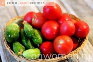 Tomaten- und Gurkensalat für den Winter