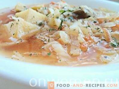 Fresh cabbage borsch with meat