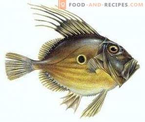 Dori zivis: pabalsts un kaitējums