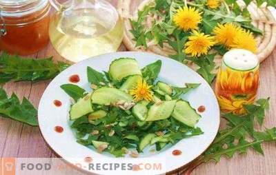 Pieneņu lapu salāti ir gandrīz zāles! Pieneņu lapu salātu varianti ar sieru, dārzeņiem, olām, augļiem, riekstiem