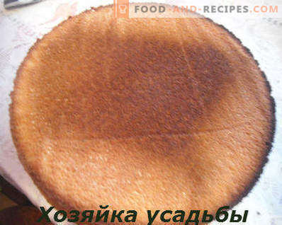 Sūkļa kūka, klasiska recepte ar fotogrāfiju, 6 olas, 4 olas, ar skābo krējumu, krāsnī, multi-plīts